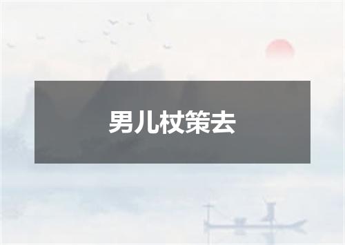 男儿杖策去