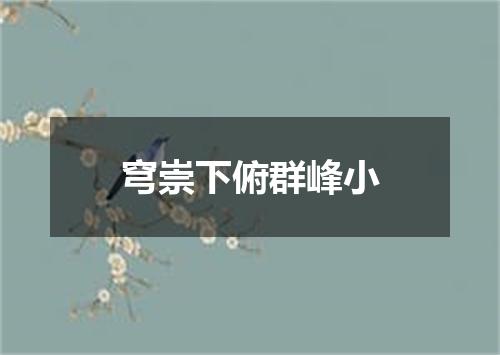 穹崇下俯群峰小