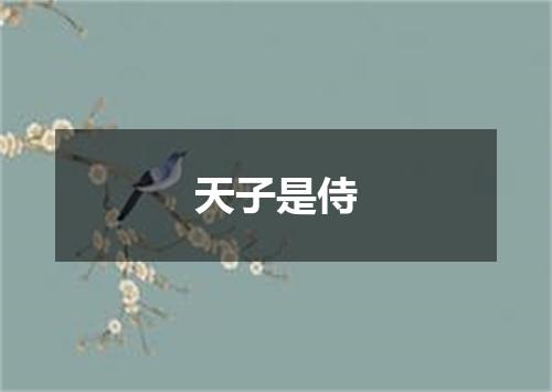 天子是侍