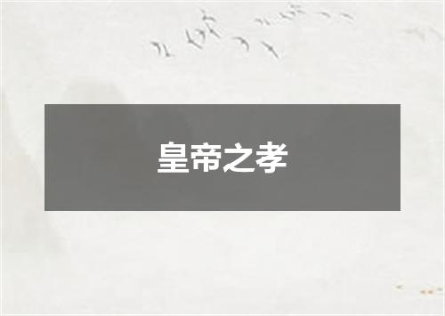 皇帝之孝