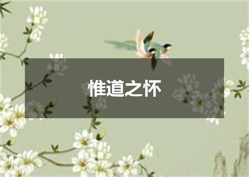 惟道之怀