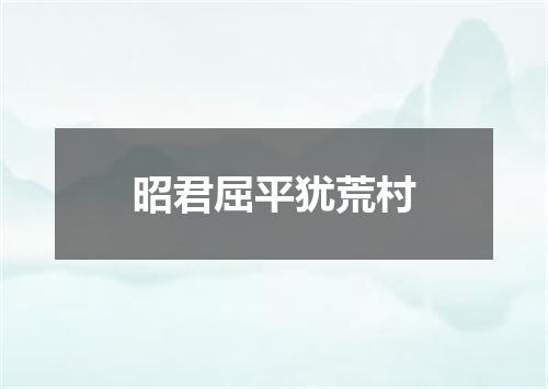 昭君屈平犹荒村