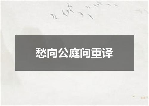 愁向公庭问重译