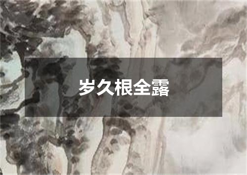 岁久根全露