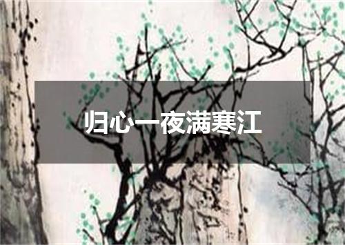 归心一夜满寒江
