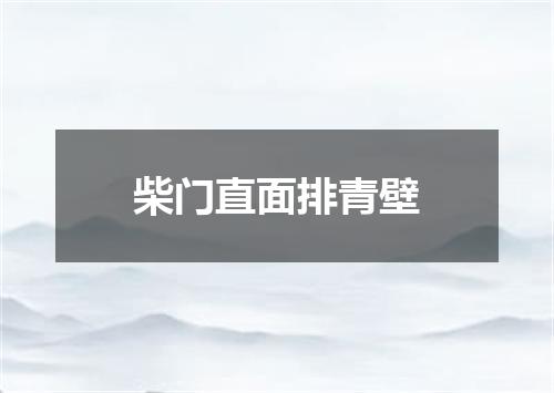 柴门直面排青壁