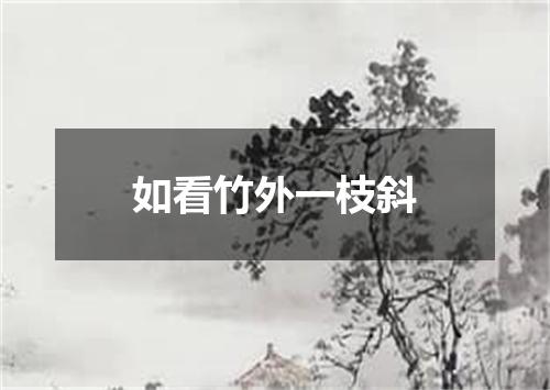 如看竹外一枝斜