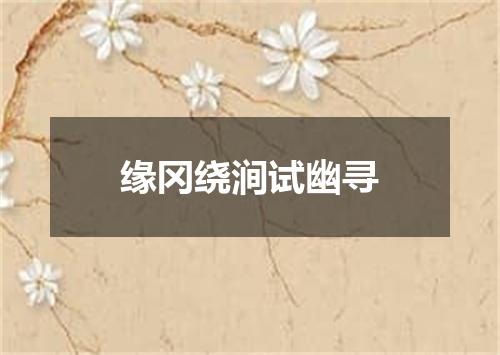 缘冈绕涧试幽寻