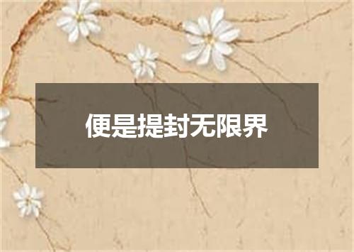 便是提封无限界