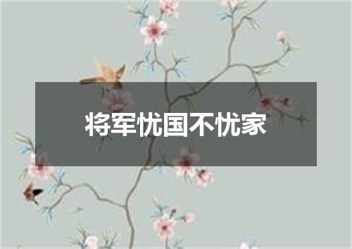 将军忧国不忧家