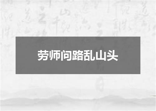 劳师问路乱山头