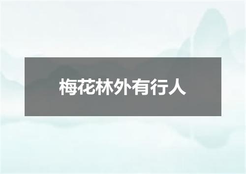 梅花林外有行人