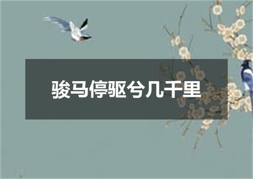 骏马停驱兮几千里