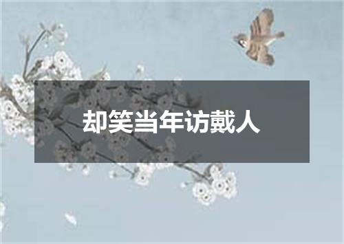 却笑当年访戴人