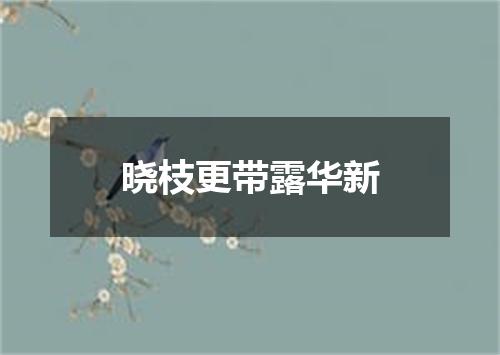 晓枝更带露华新