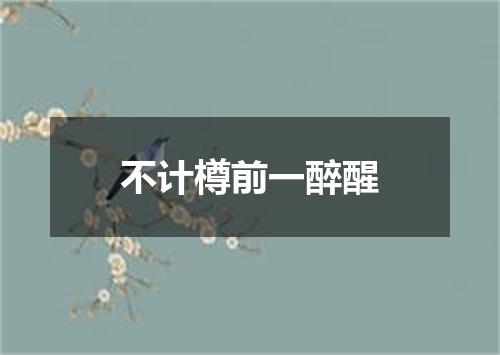 不计樽前一醉醒