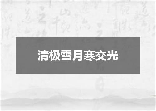 清极雪月寒交光