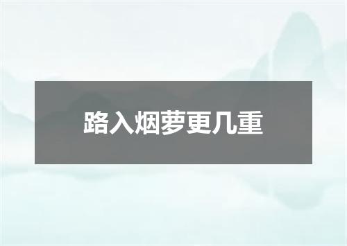 路入烟萝更几重