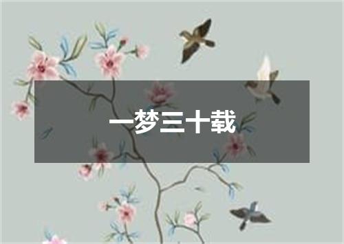 一梦三十载