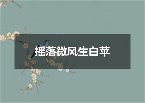 摇落微风生白苹