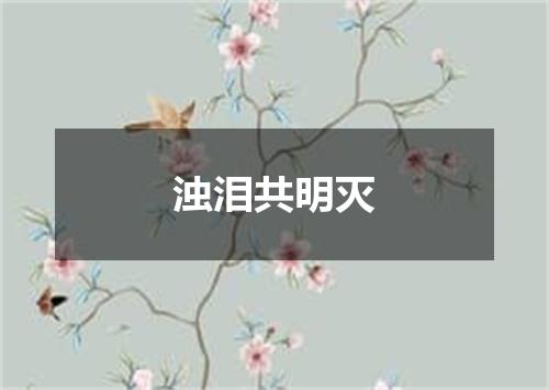 浊泪共明灭