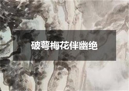 破萼梅花伴幽绝