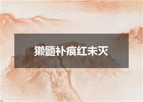 獭髓补痕红未灭