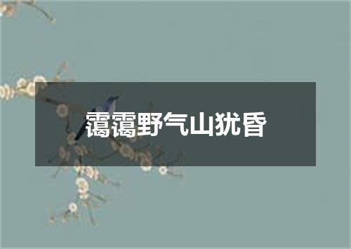 霭霭野气山犹昏
