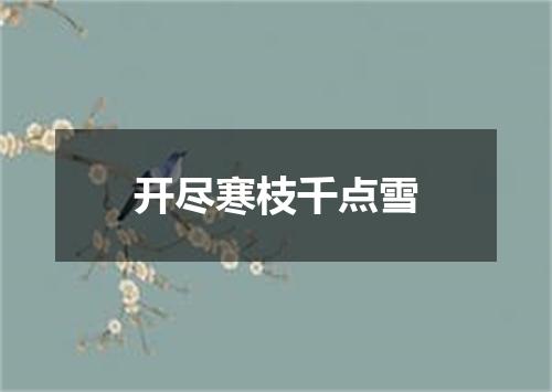 开尽寒枝千点雪