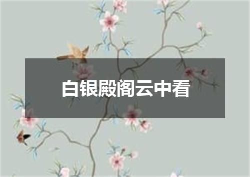 白银殿阁云中看