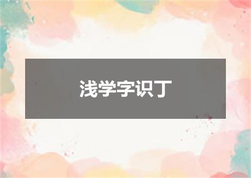 浅学字识丁