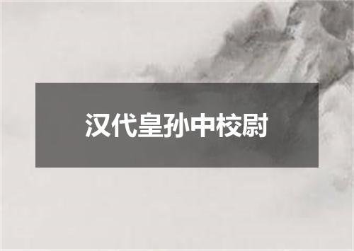 汉代皇孙中校尉