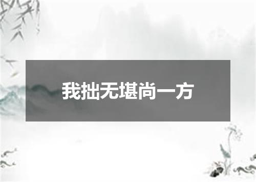 我拙无堪尚一方