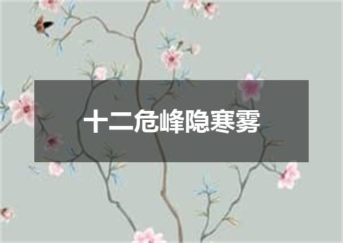 十二危峰隐寒雾