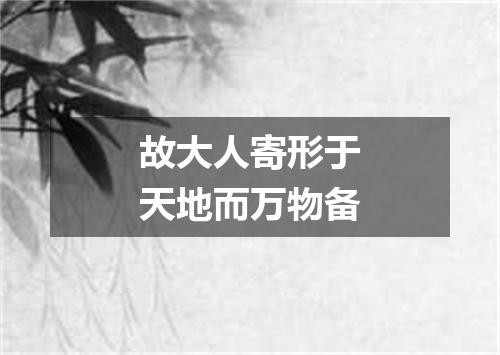 故大人寄形于天地而万物备