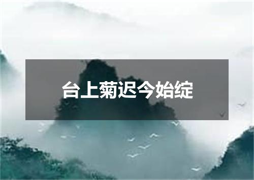 台上菊迟今始绽