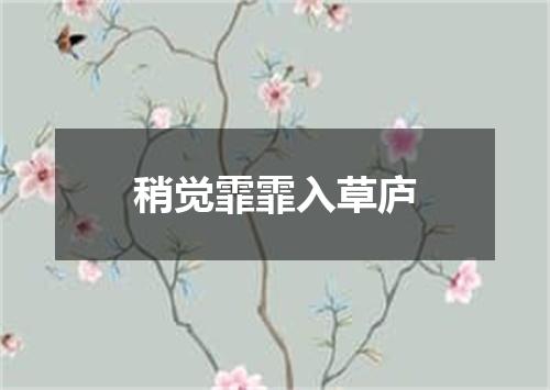 稍觉霏霏入草庐