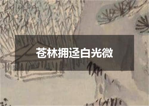 苍林拥迳白光微