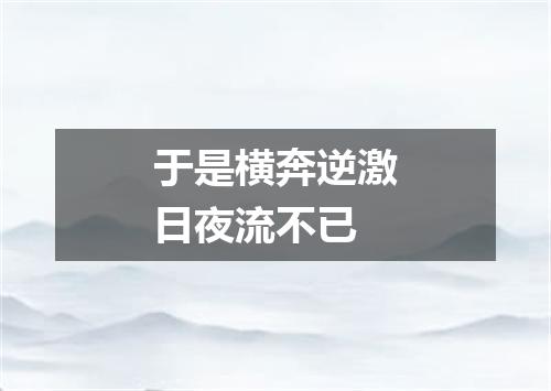 于是横奔逆激日夜流不已