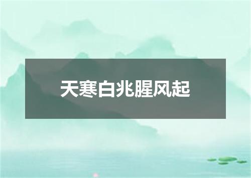 天寒白兆腥风起