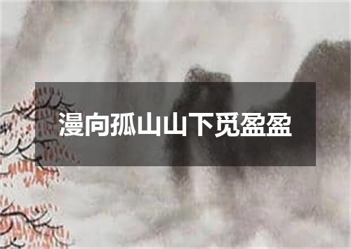 漫向孤山山下觅盈盈