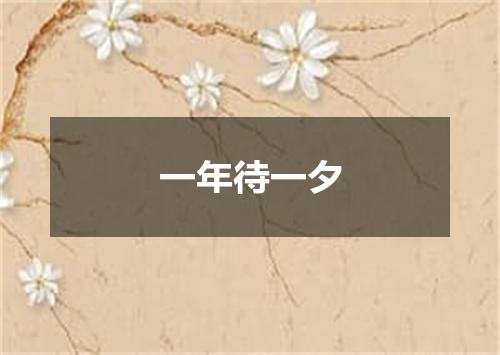 一年待一夕
