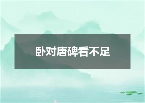 卧对唐碑看不足