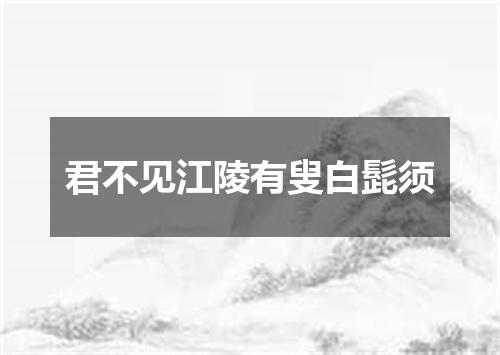 君不见江陵有叟白髭须