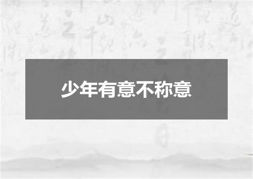 少年有意不称意