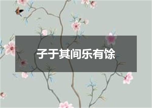 子于其间乐有馀