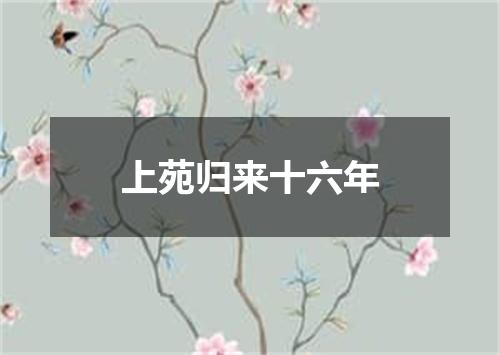 上苑归来十六年
