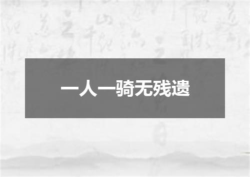 一人一骑无残遗