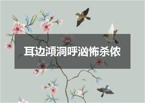 耳边澒洞呼汹怖杀侬