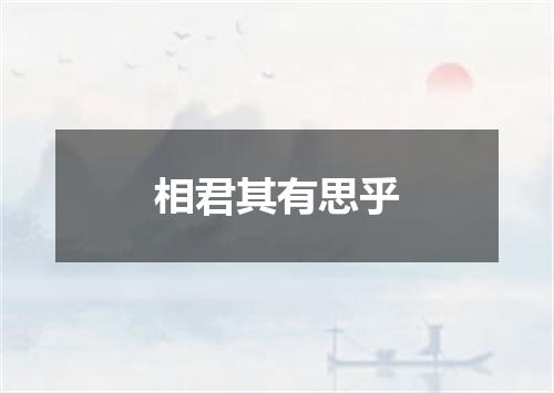 相君其有思乎